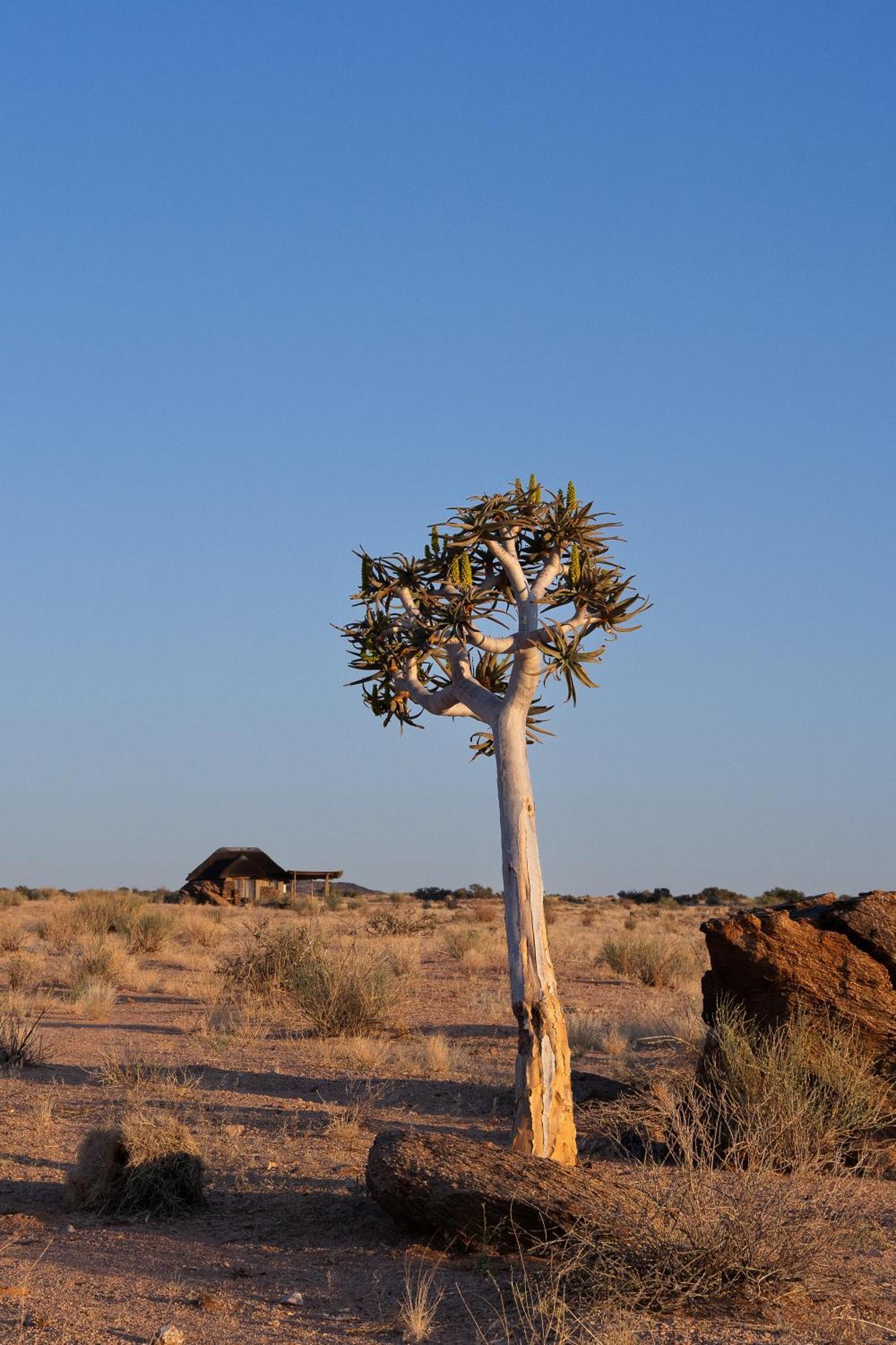 Sandfontein Lodge & Nature Reserve Luaran gambar