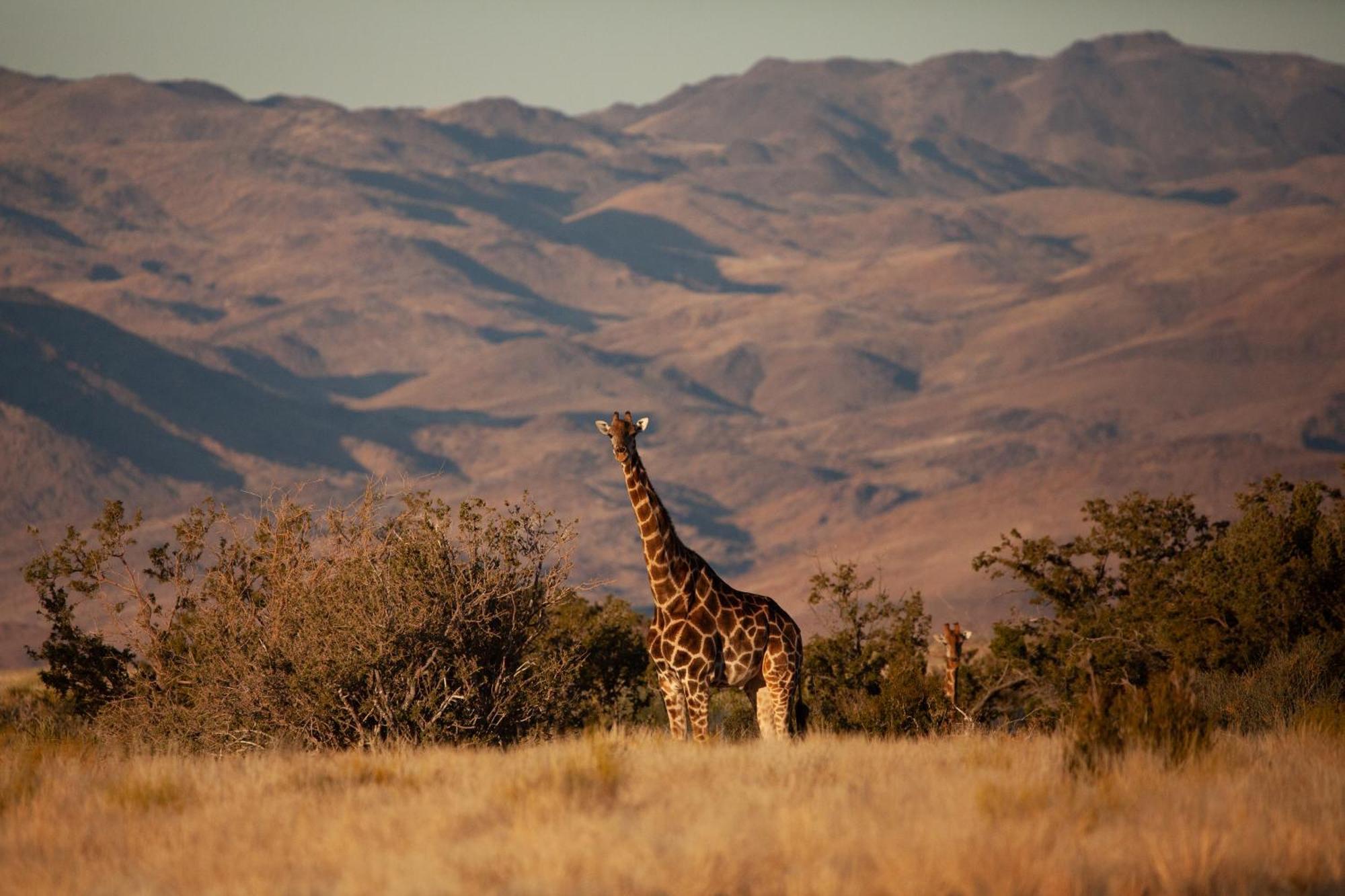 Sandfontein Lodge & Nature Reserve Luaran gambar