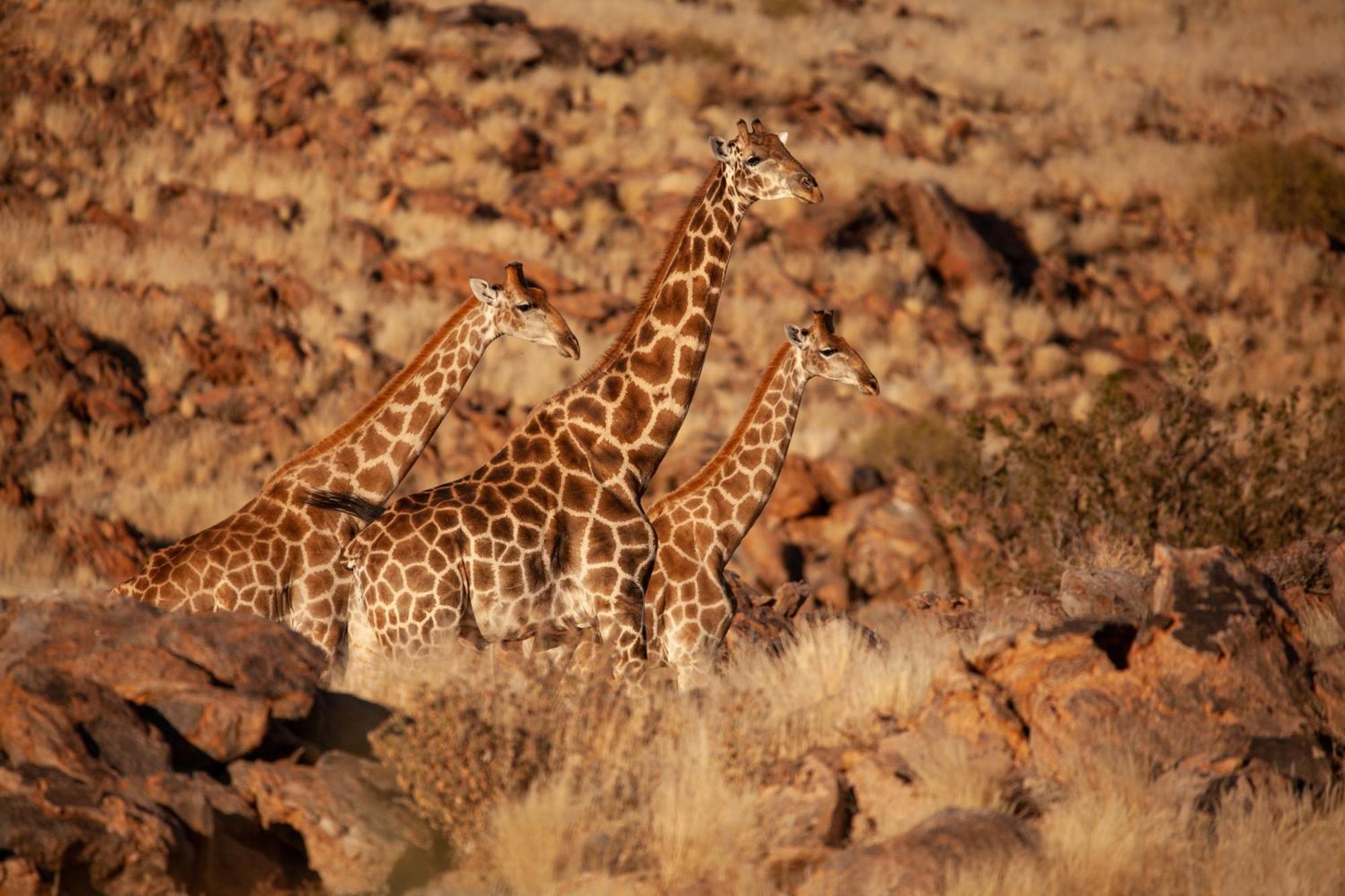 Sandfontein Lodge & Nature Reserve Luaran gambar