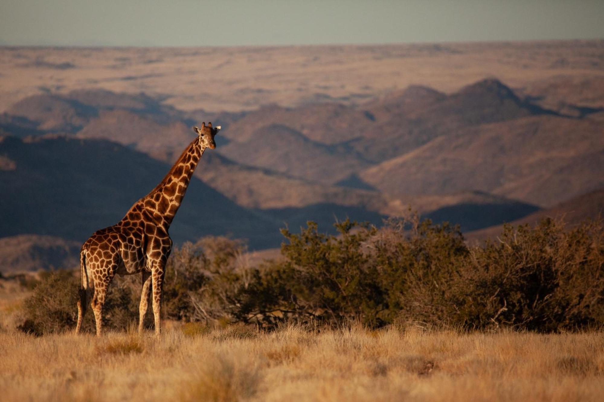 Sandfontein Lodge & Nature Reserve Luaran gambar