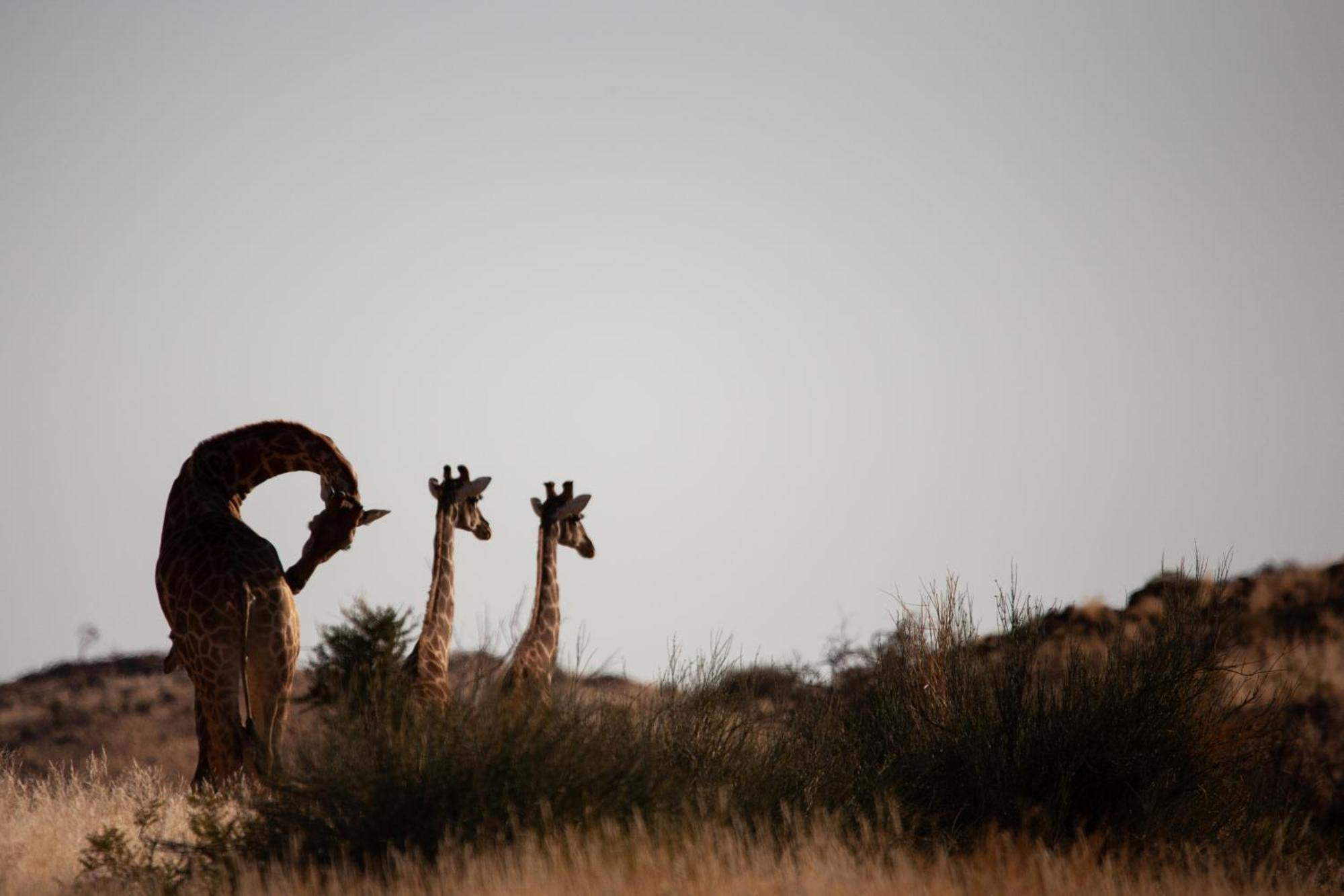 Sandfontein Lodge & Nature Reserve Luaran gambar