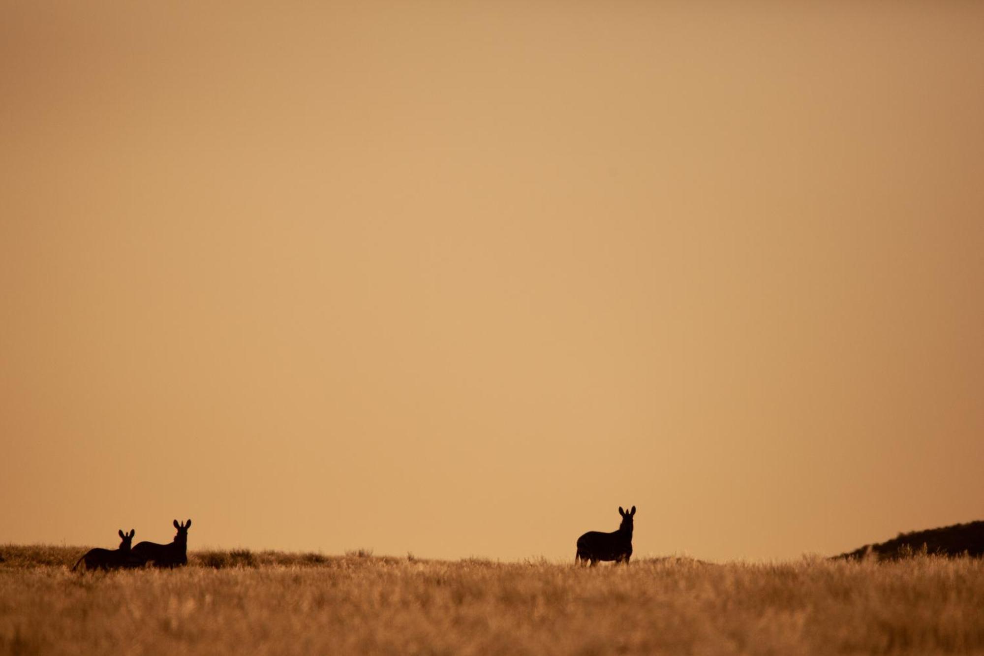 Sandfontein Lodge & Nature Reserve Luaran gambar