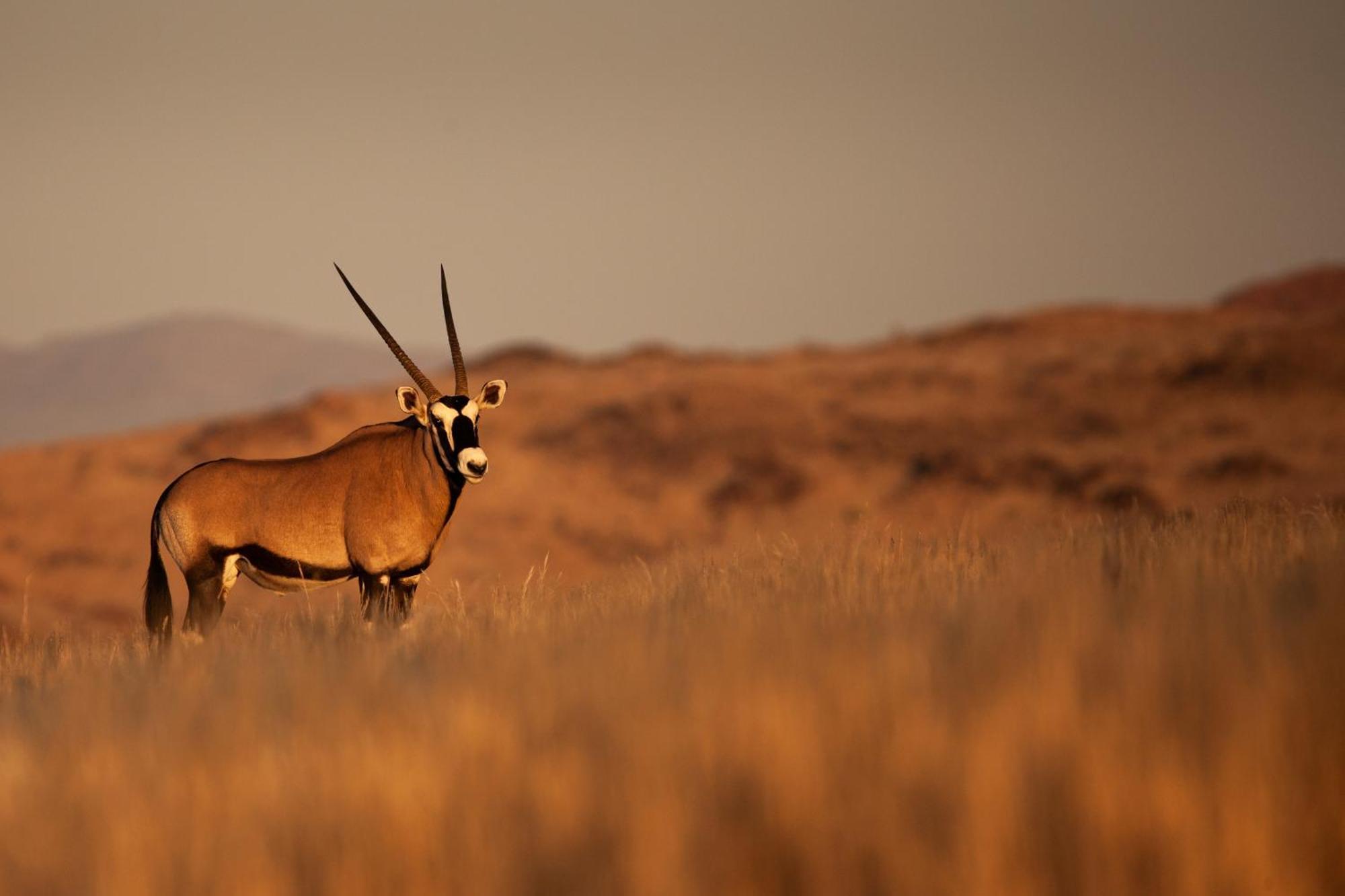 Sandfontein Lodge & Nature Reserve Luaran gambar